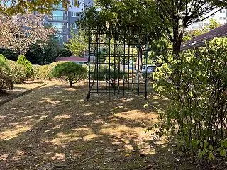 もう秋です！