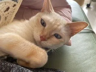 もうすぐ４か月