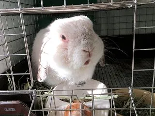 楽しいといいな