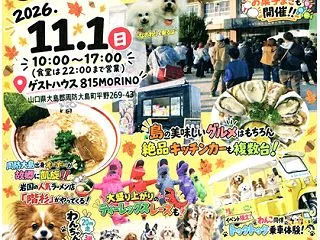 「ハイコーUllimo Marche」の…