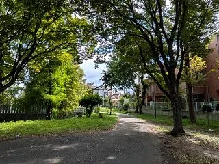 ★つくばマラソンまで25日★大阪帰省して…