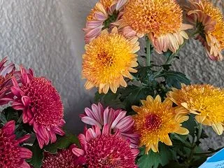 花