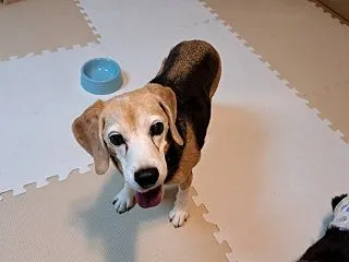 最低な男