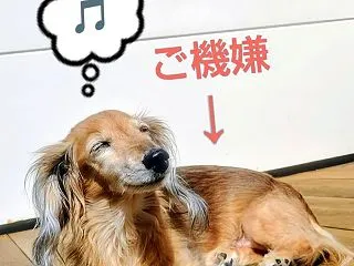 U^ｪ^Uの日常