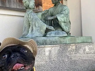前田噛みつかないのか？誰が一番強いか決ま…