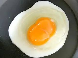 初めて実物の二黄卵（双子卵）を見た、と思…