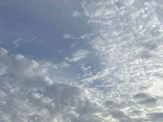”内緒のハナシ(^^)” 桜咲く(ﾉ≧∀…