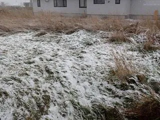 初雪