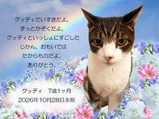 天使 グッディ君