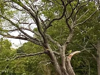 膝が痛かったけど・・