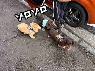 ２ヶ月に一度。