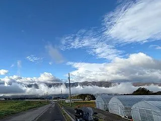 少しだけ皮剥きラン