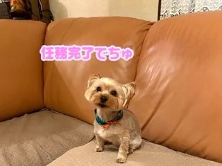 トリミング♪（2026.10）