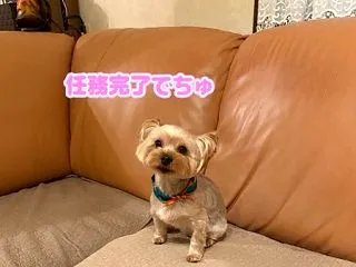 トリミング♪（2026.10）