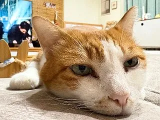 刺激を受けて反省