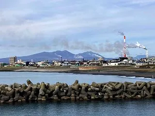 2026.10.28 お散歩風景
