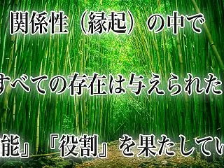 自然の摂理を知り、真我の流れに自我を調和…