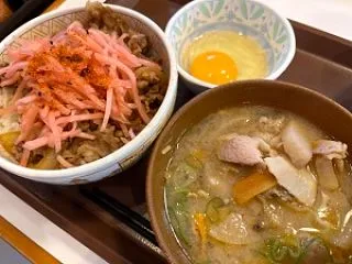「先日家族でおじゃまさせて頂いた、すき家…