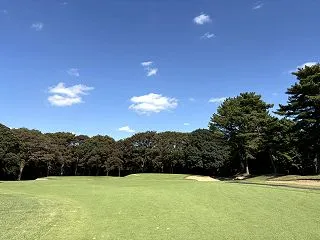 【木曜杯】バウンスバック×２｜中山カント…