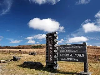 ★霧ヶ峰高原 青い空と白い雲 晩秋の装い…