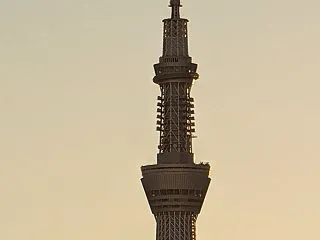 本日のスカイツリー