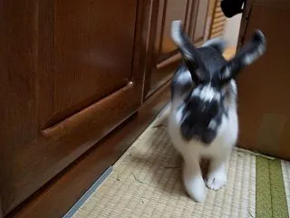 思い出 走り込み②