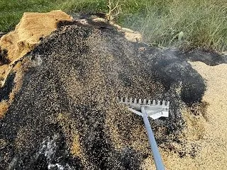 雨ニモマケズ 籾殻くん炭 苔を採取
