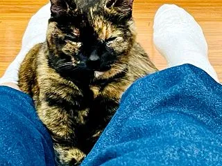 今シーズンお初です