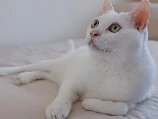 ”もんみもんみ”せずにはいられない