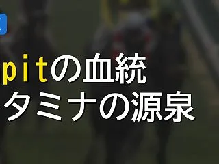 米国種牡馬Tapit（タピット）について…