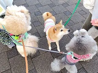 えっ！？