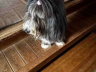 西高東低