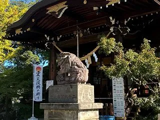 術後40週目の排便状況