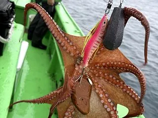 （26）那珂湊港 つれたか丸《餌木タコ🐙…