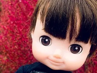 逆境を乗り越えて生きる