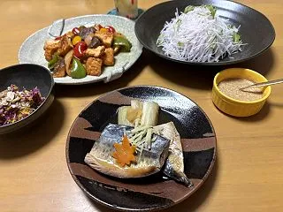 鯖の生姜煮☆厚揚げと野菜のピリ辛味噌炒め…