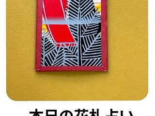 本日の花札占い