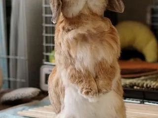 安定うたっち！