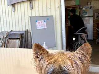 マぁー子