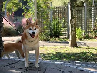 ★ 8年10月28日 ★