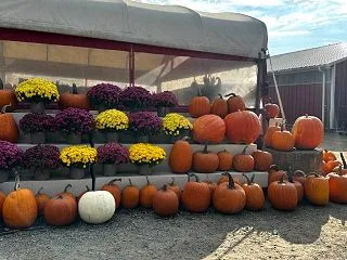 ハッピー ハロウィン