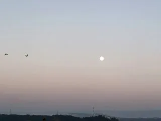 お月様とお裁縫／家呑み