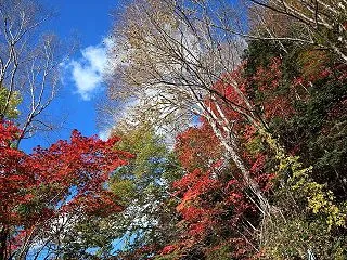片品村 丸沼高原の紅葉 その２
