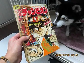 ちばてつやのあるインクの話を読んだ。