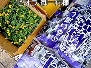 花壇２.５倍！？ 通路、細せぇ～
