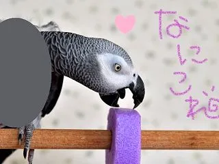 なにも恐れないのは日頃の訓練の賜物ですか…
