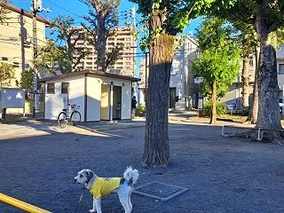 北風ピューピュー