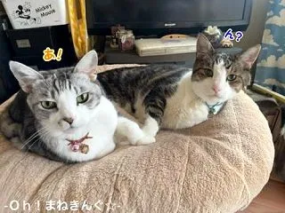 寝癖😁