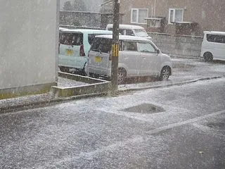 ついに雪が