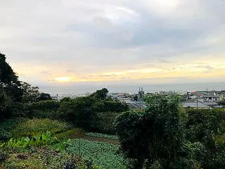 NO.５１４１ あめじゃなくてよかった